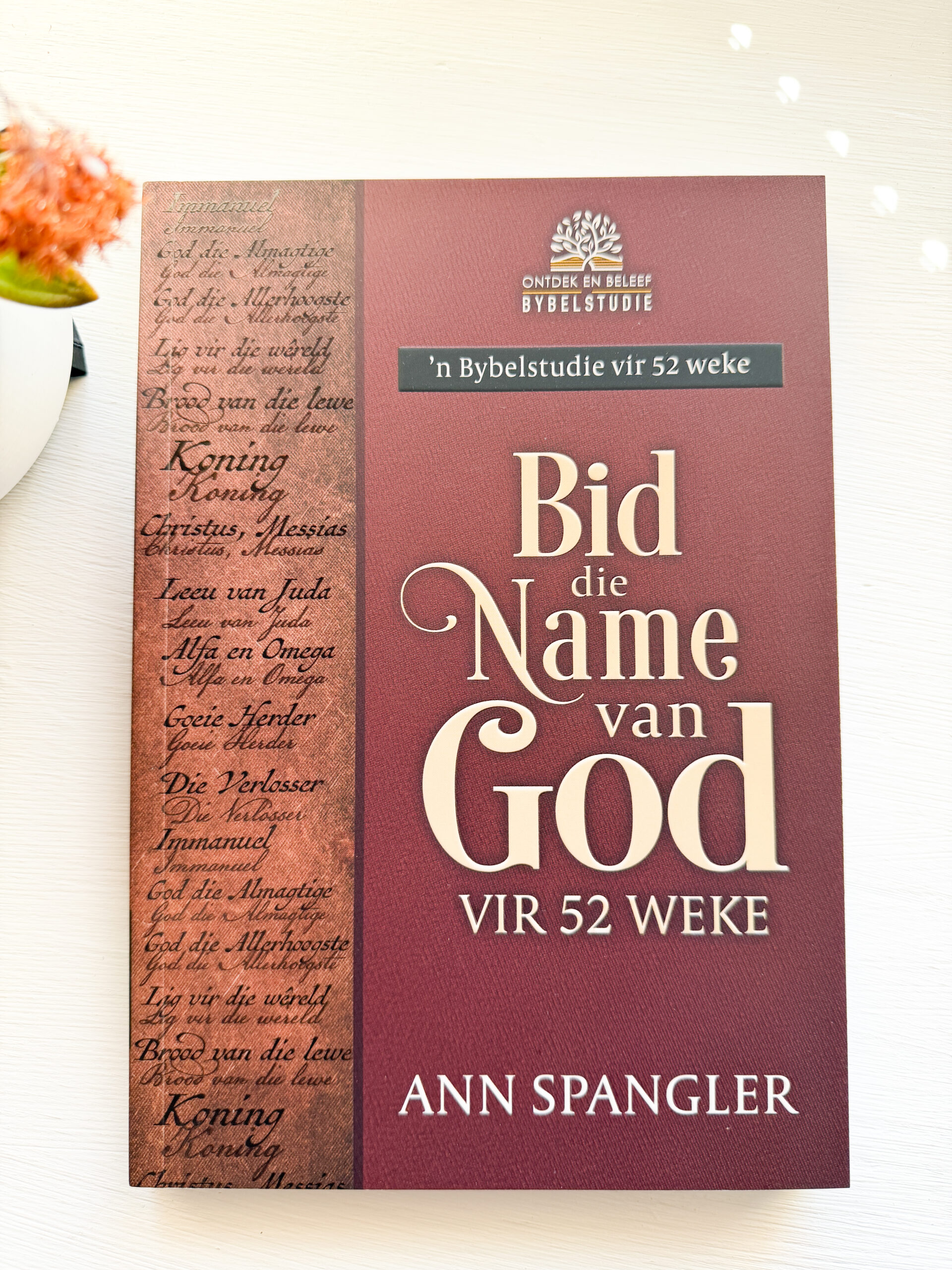 Bid die Name van God vir 52 Weke (Sagteband)