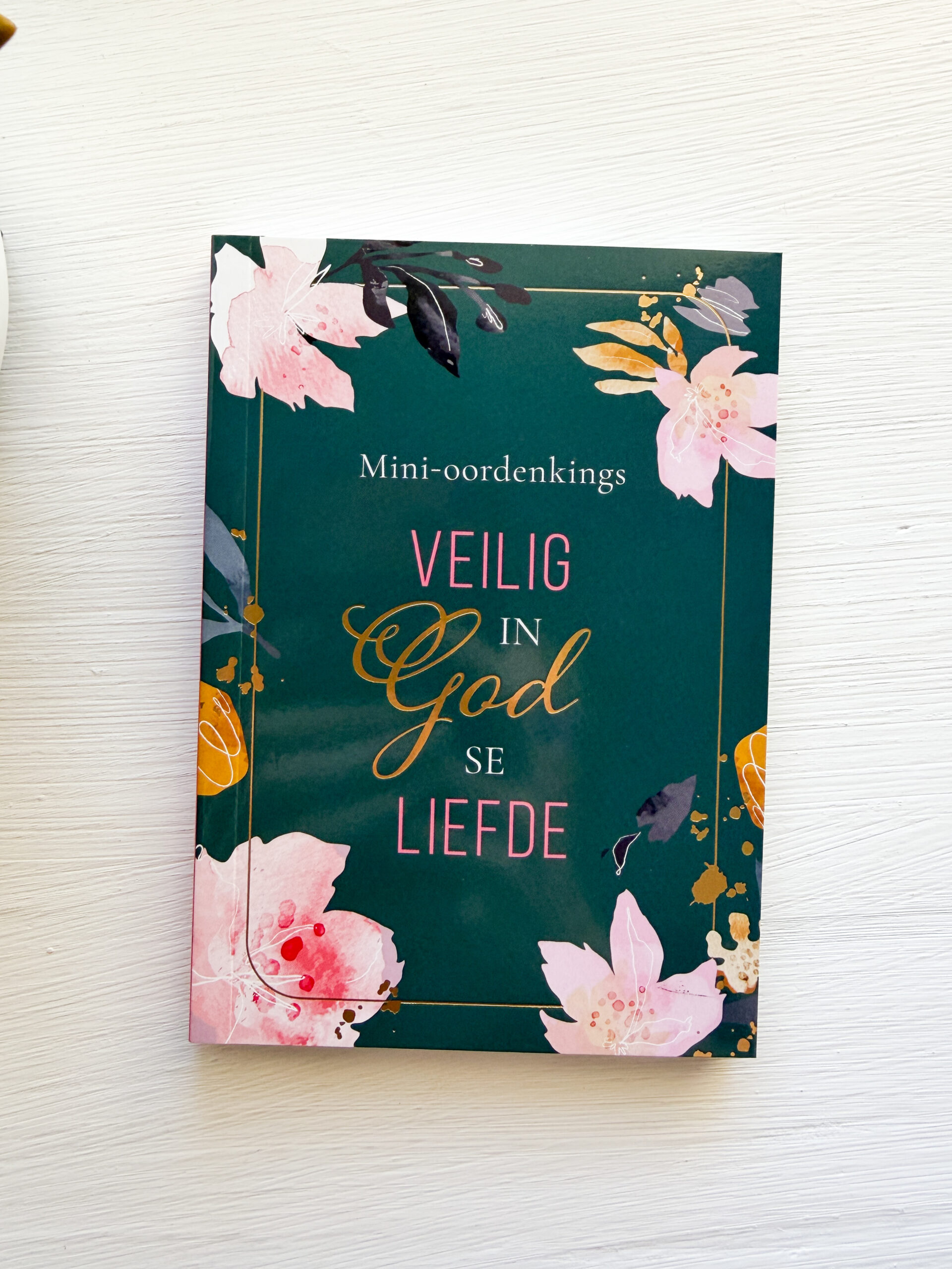 Mini-Oordenkings: Veilig in God se Liefde (Sagteband)