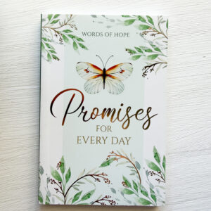 Promises For Every Day (Paperback)