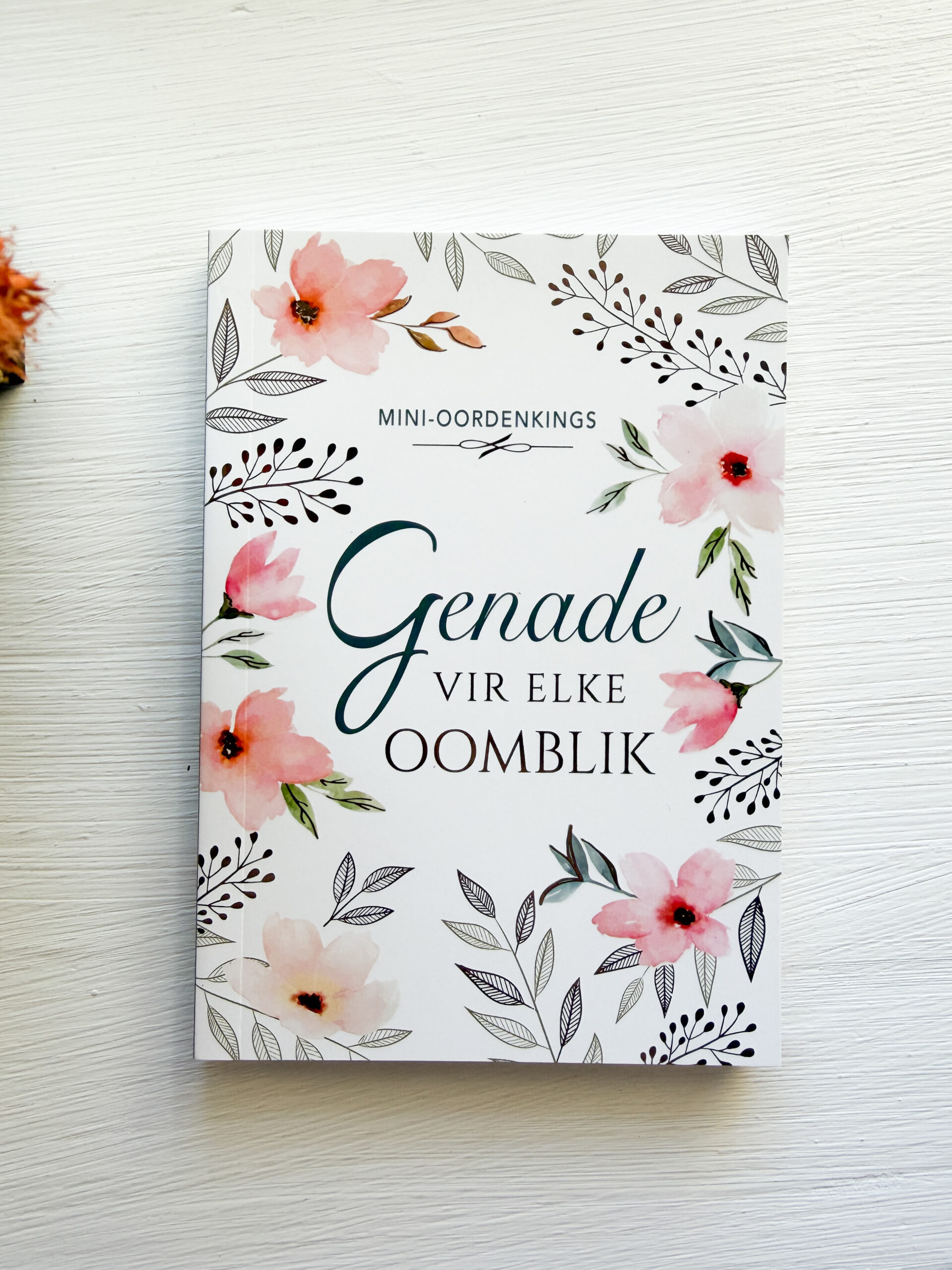 Mini Oordenkings Genade Vir Elke Oomblik (Sagteband)