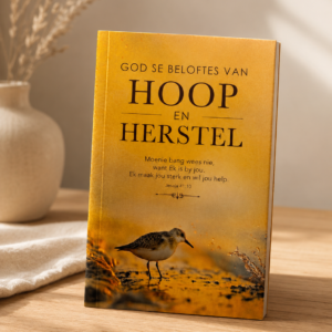 God Se Beloftes Van Hoop En Herstel (Sagteband)