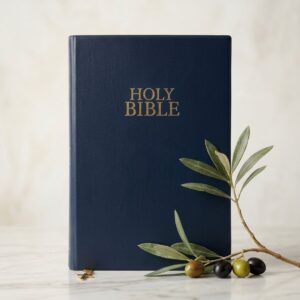 NIV BIBLE-vinyl navy blue
